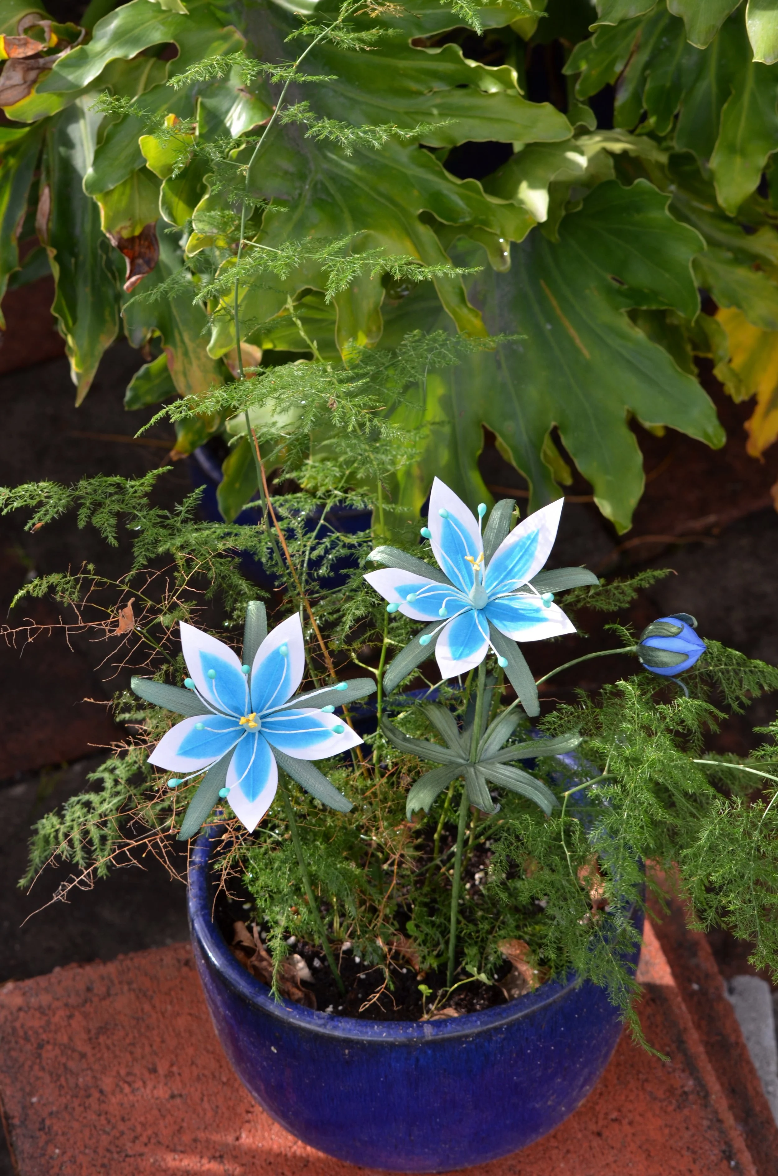 Shop — Lallen's Garden